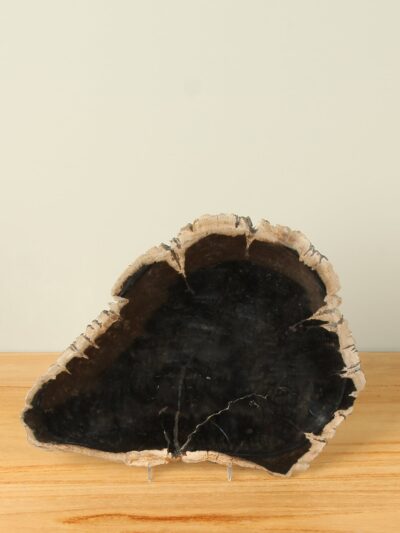 Obstschale – Schwarz – Versteinertes Holz – 24 cm