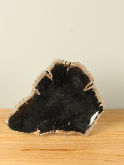 Obstschale – Schwarz – Versteinertes Holz – 28 cm