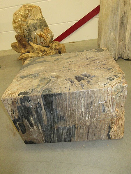 Versteinertes Holz - Dunkelbraun - Versteinertes Holz - 30x46x36 cm