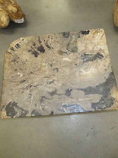 Versteinertes Holz - Dunkelbraun - Versteinertes Holz - 30x46x36 cm – Bild 3
