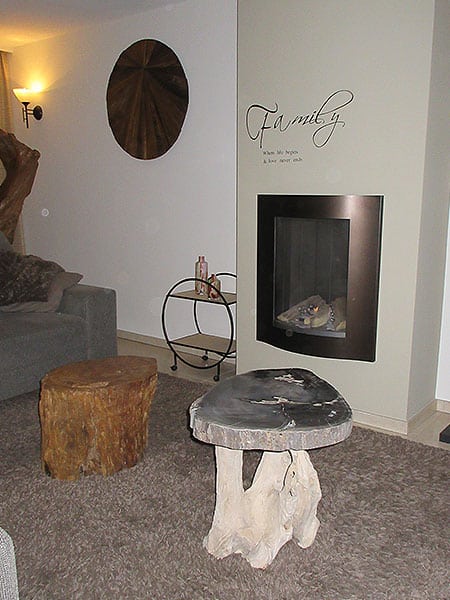 Versteinertes Holz - Dunkelbraun - Versteinertes Holz - 30x46x36 cm – Bild 4