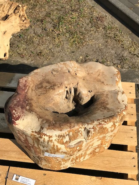 Versteinertes Holz - Dunkelbraun - Versteinertes Holz - 37x61x34 cm – Bild 2