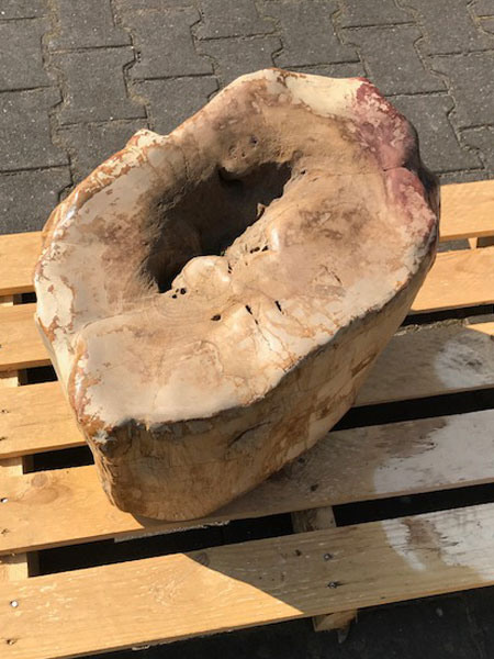 Versteinertes Holz - Dunkelbraun - Versteinertes Holz - 37x61x34 cm – Bild 3