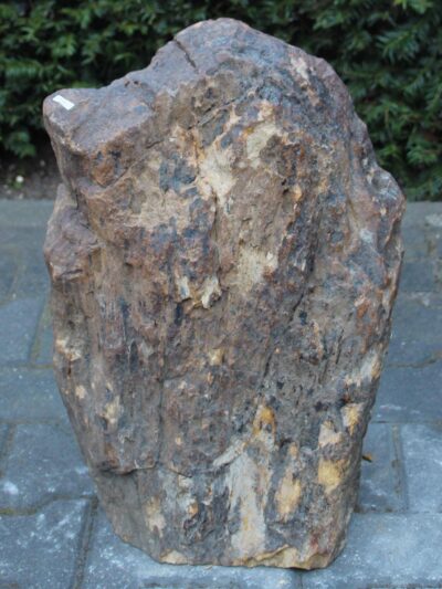 Versteinertes Holz – Dunkelbraun – Versteinertes Holz – 49x36x24 cm
