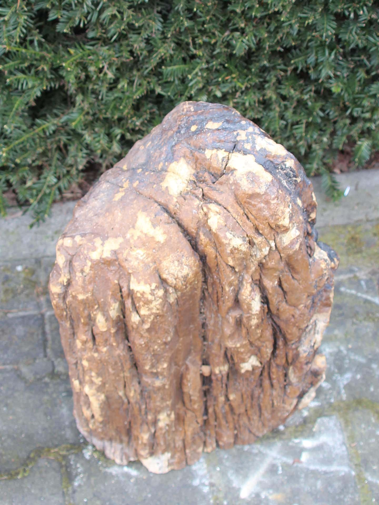 Versteinertes Holz - Dunkelbraun - Versteinertes Holz - 53x34x21 cm – Bild 3