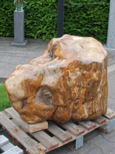 Versteinertes Holz – Dunkelbraun – Versteinertes Holz – 62x80x45 cm