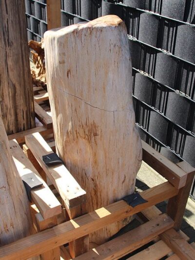 Versteinertes Holz – Hellbraun – Versteinertes Holz – 100x45x35 cm