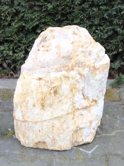 Versteinertes Holz – Hellbraun – Versteinertes Holz – 40x32x23 cm