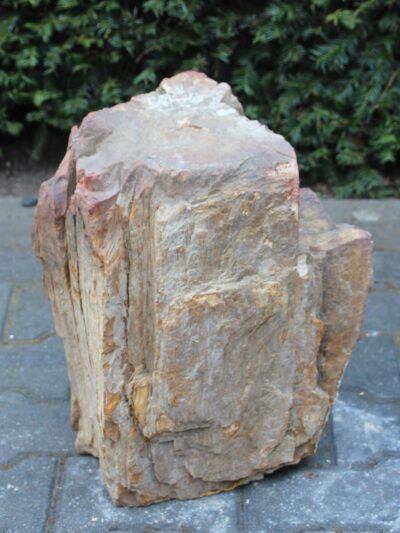 Versteinertes Holz – Hellbraun – Versteinertes Holz – 43x36x28 cm