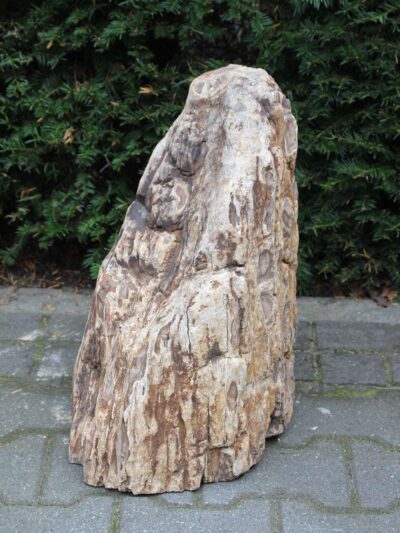 Versteinertes Holz – Hellbraun – Versteinertes Holz – 48x36x27 cm