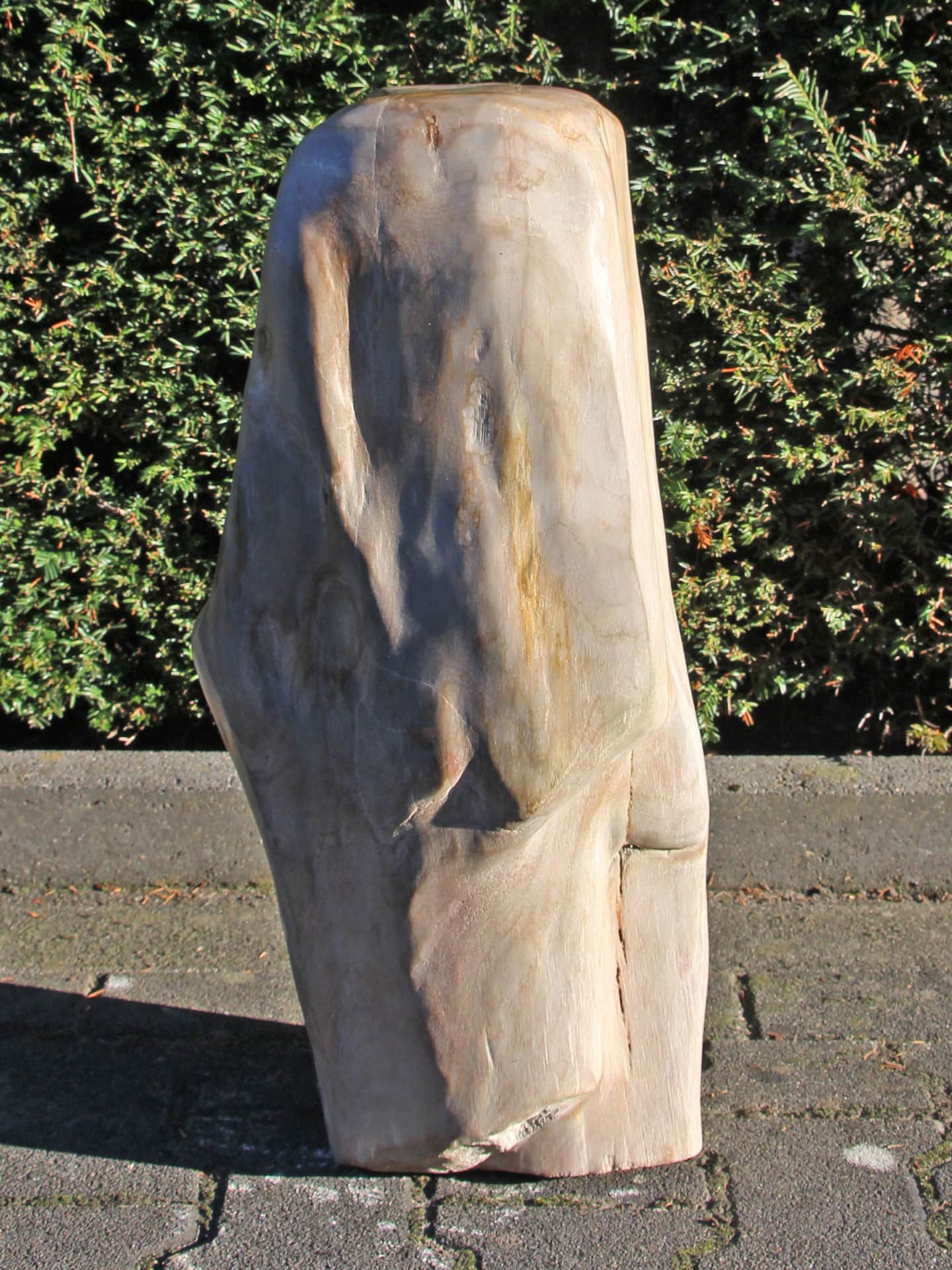 Versteinertes Holz - Versteinertes Holz - 60x20x20 cm – Bild 7