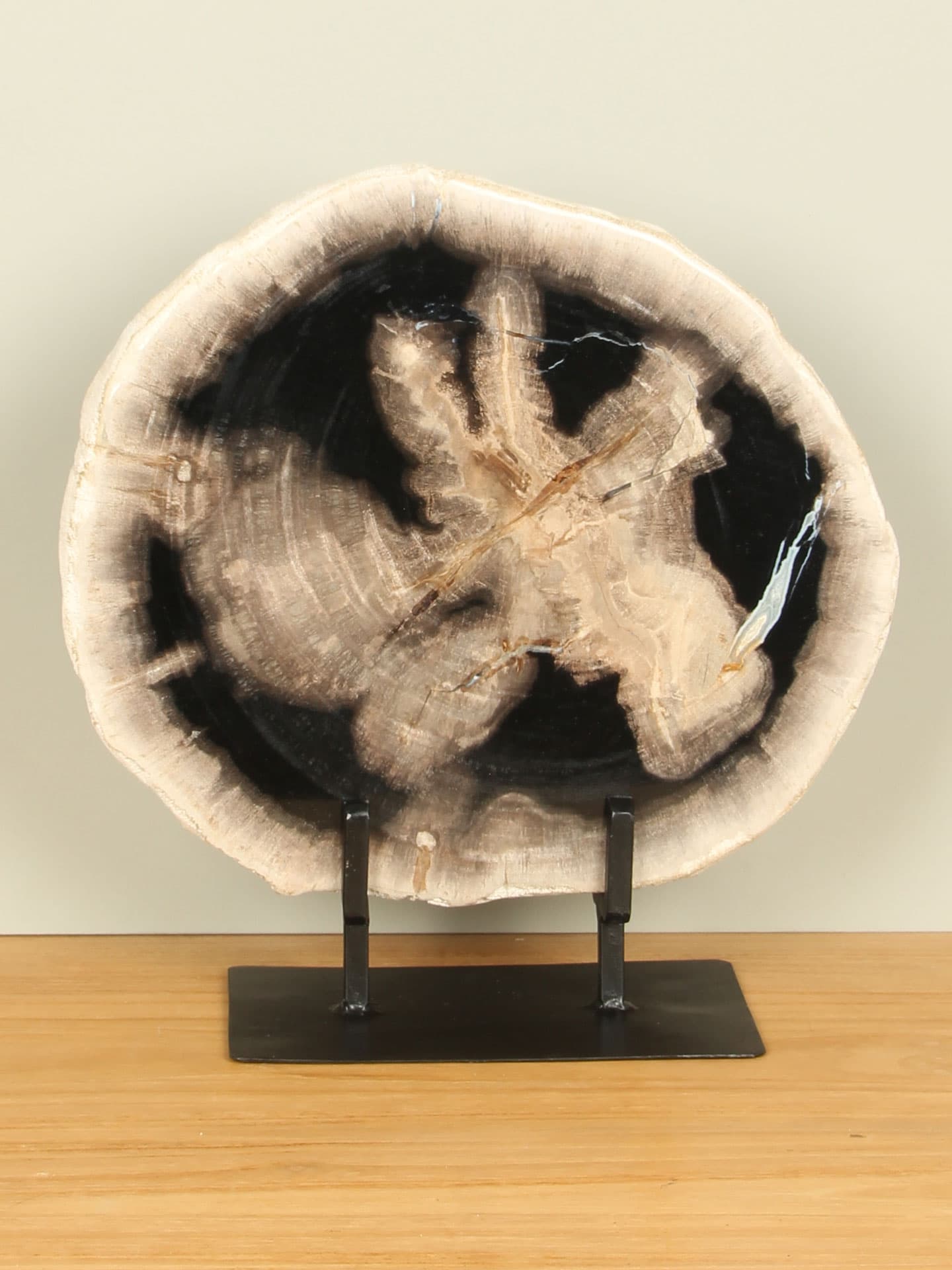 Versteinertes Holz für drinnen - Versteinertes Holz - Scheibe auf Ständer Nr. 12 - 34x31x3 cm