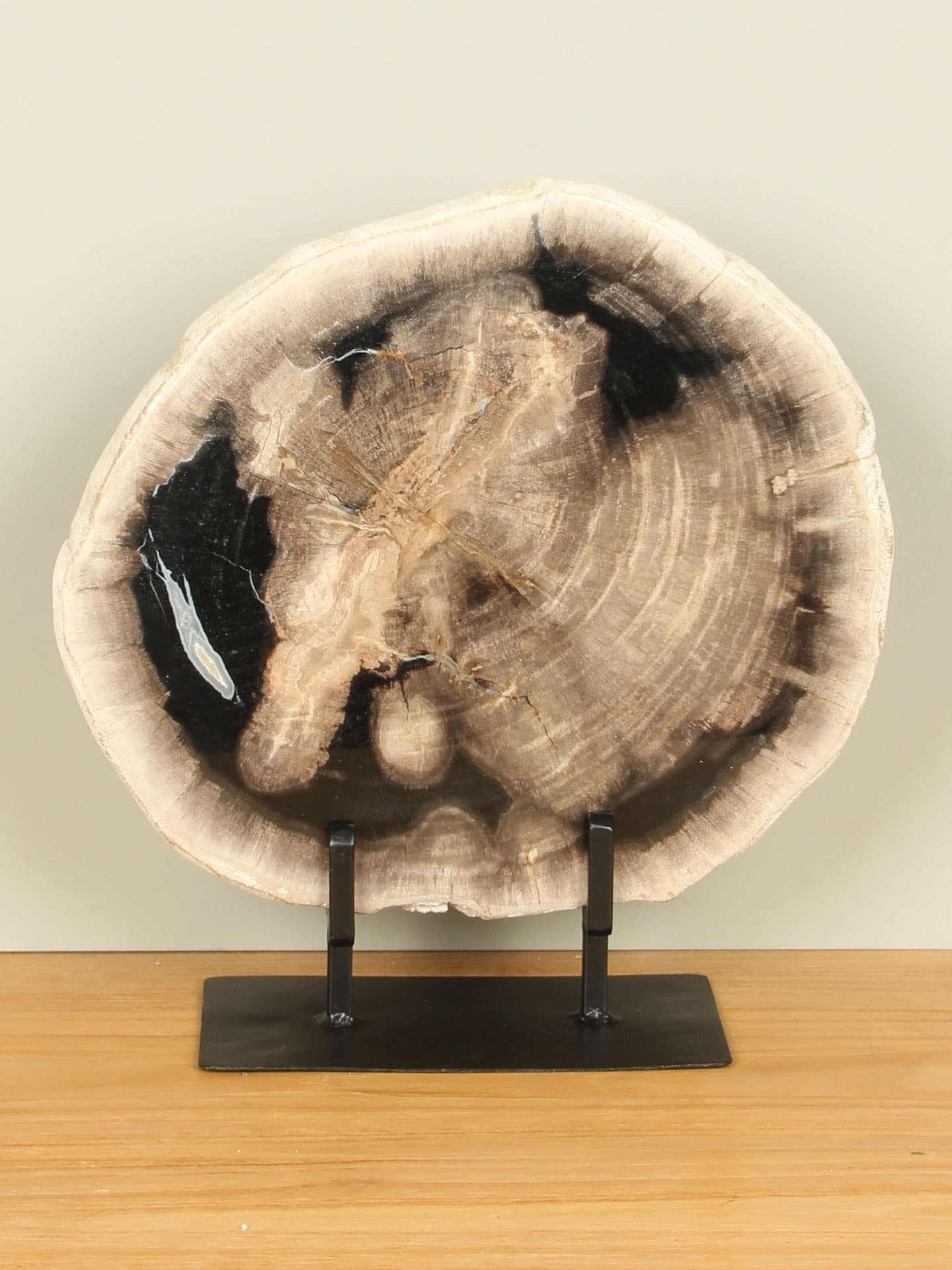 Versteinertes Holz für drinnen - Versteinertes Holz - Scheibe auf Ständer Nr. 12 - 34x31x3 cm – Bild 3