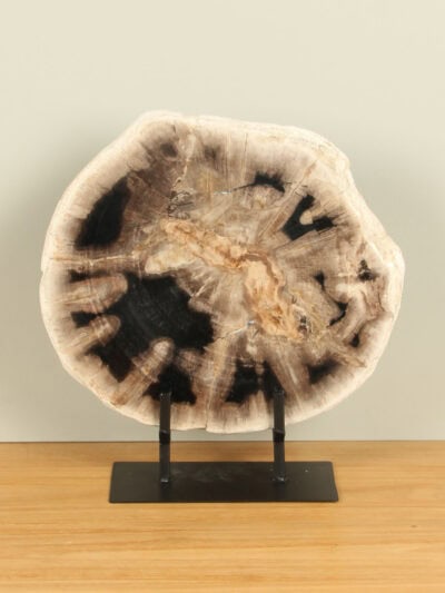 Versteinertes Holz für drinnen – Versteinertes Holz – Scheibe auf Ständer Nr. 20 – 34x32x3 cm