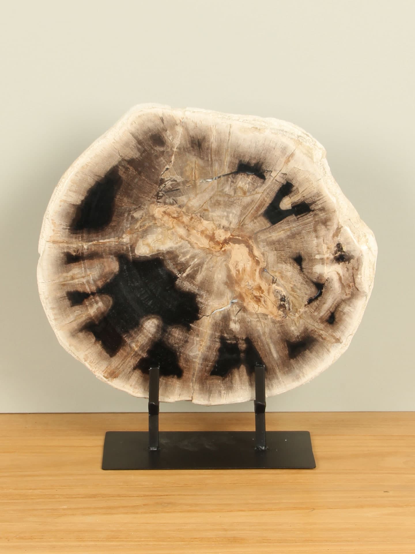 Versteinertes Holz für drinnen - Versteinertes Holz - Scheibe auf Ständer Nr. 20 - 34x32x3 cm