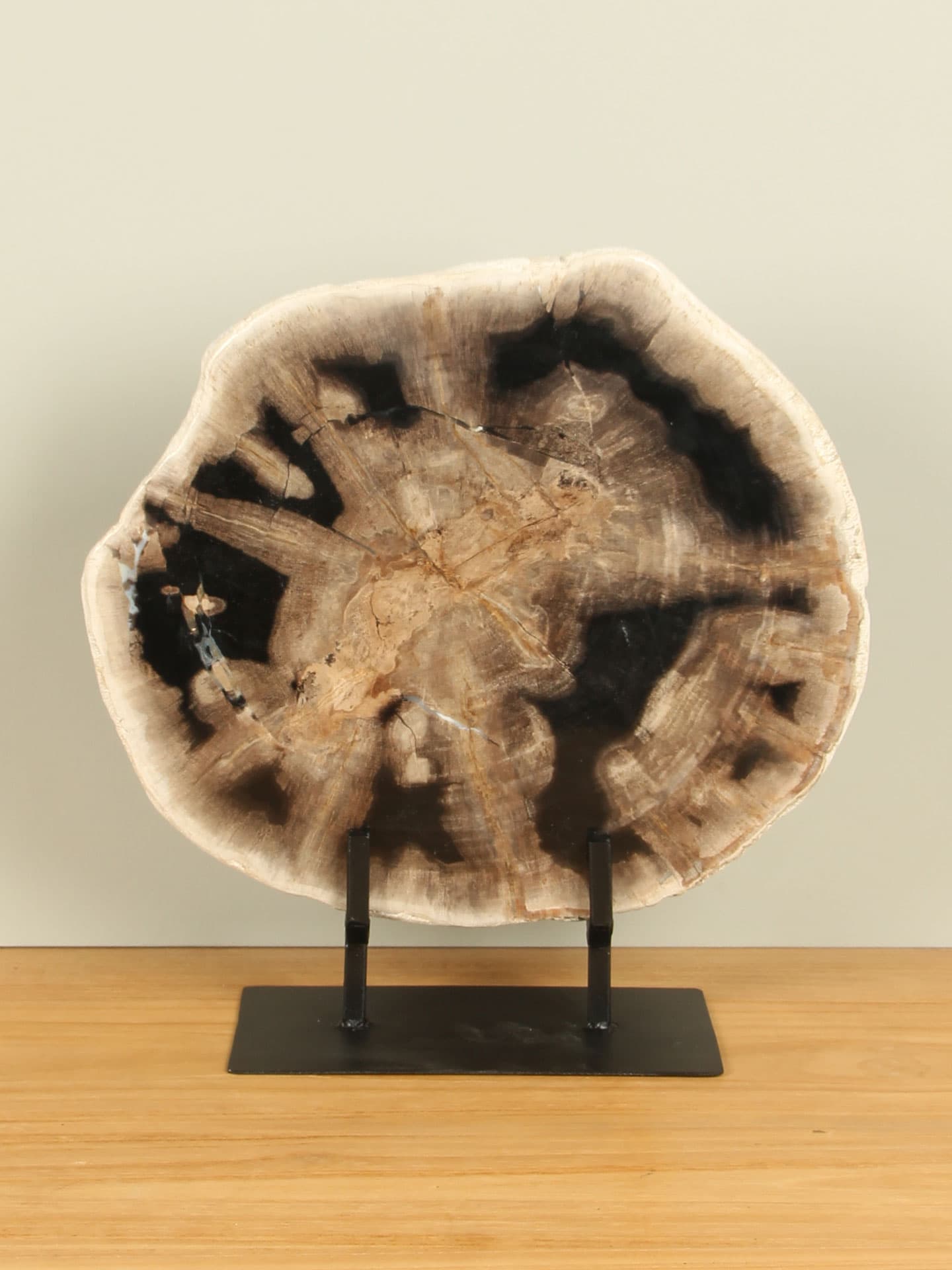 Versteinertes Holz für drinnen - Versteinertes Holz - Scheibe auf Ständer Nr. 20 - 34x32x3 cm – Bild 3