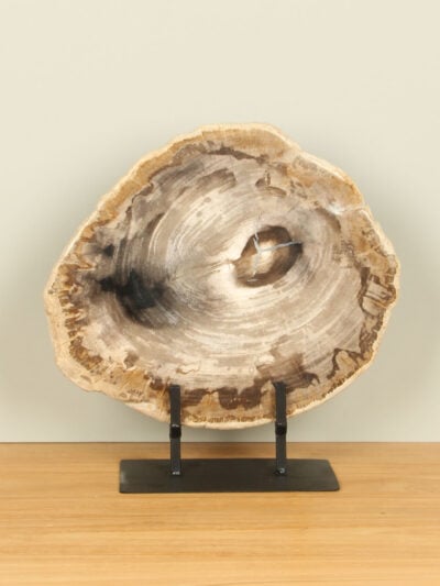 Versteinertes Holz für drinnen – Versteinertes Holz – Scheibe auf Ständer Nr. 15 – 33x33x3 cm