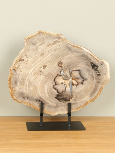 Versteinertes Holz für drinnen – Versteinertes Holz – Scheibe auf Ständer Nr. 21 – 35x35x3 cm
