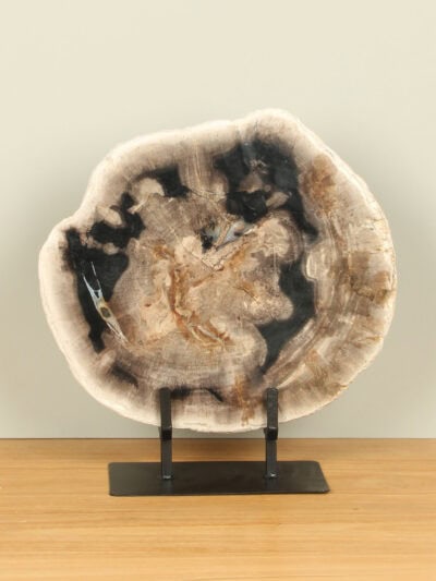 Versteinertes Holz für drinnen – Versteinertes Holz – Scheibe auf Ständer Nr. 24 – 35x33x3 cm