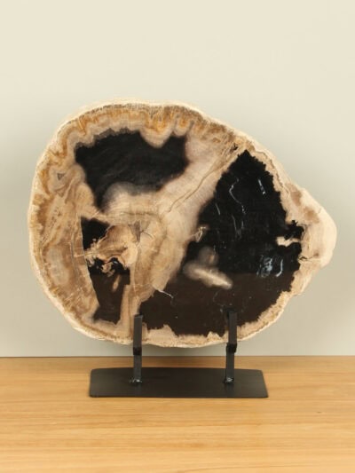 Versteinertes Holz für drinnen – Versteinertes Holz – Scheibe auf Ständer Nr. 30 – 34x35x3 cm