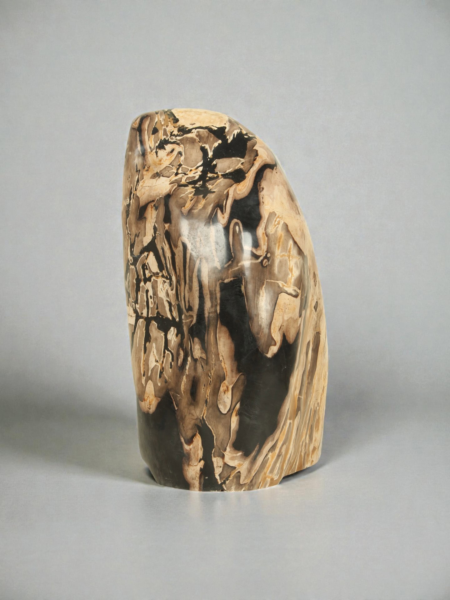 Versteinertes Holz - Versteinertes Holz - 50x35x30 cm