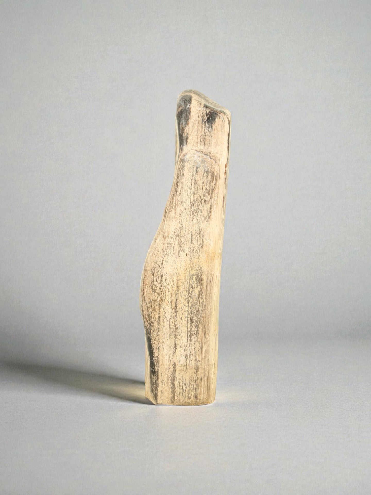 Versteinertes Holz - Versteinertes Holz - 51x13x10 cm
