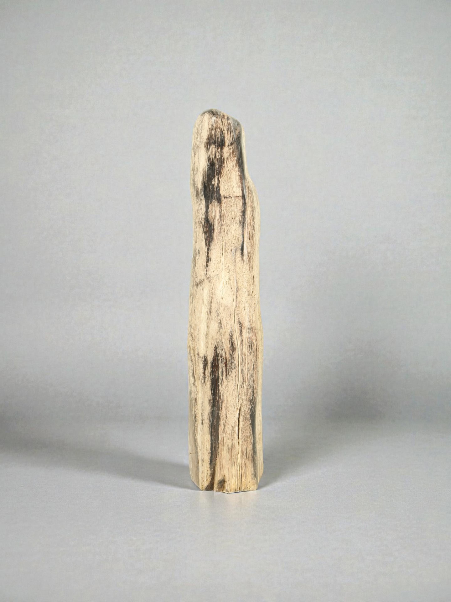 Versteinertes Holz - Versteinertes Holz - 51x13x10 cm – Bild 4