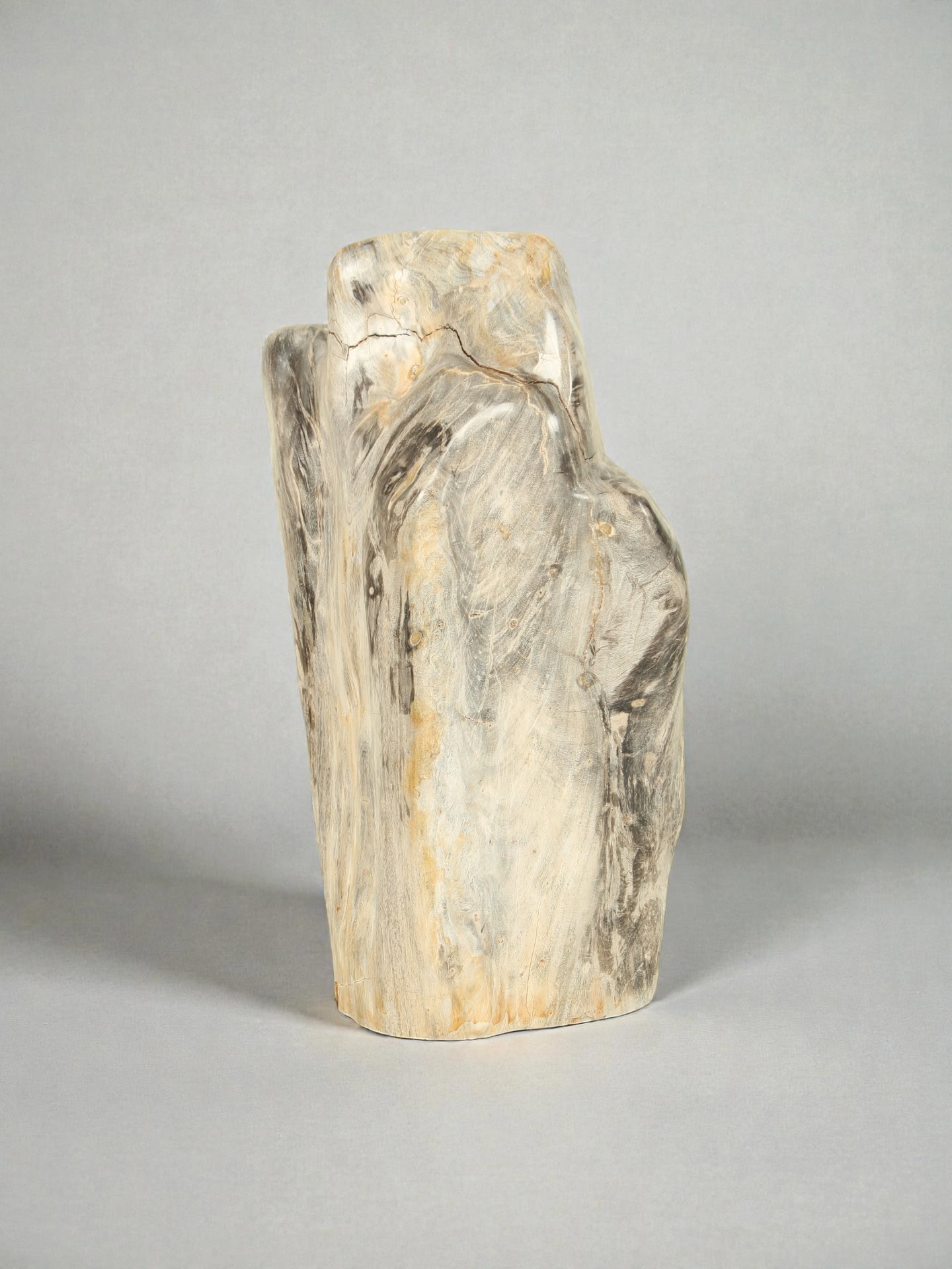 Versteinertes Holz - Versteinertes Holz - 60x20x20 cm – Bild 2