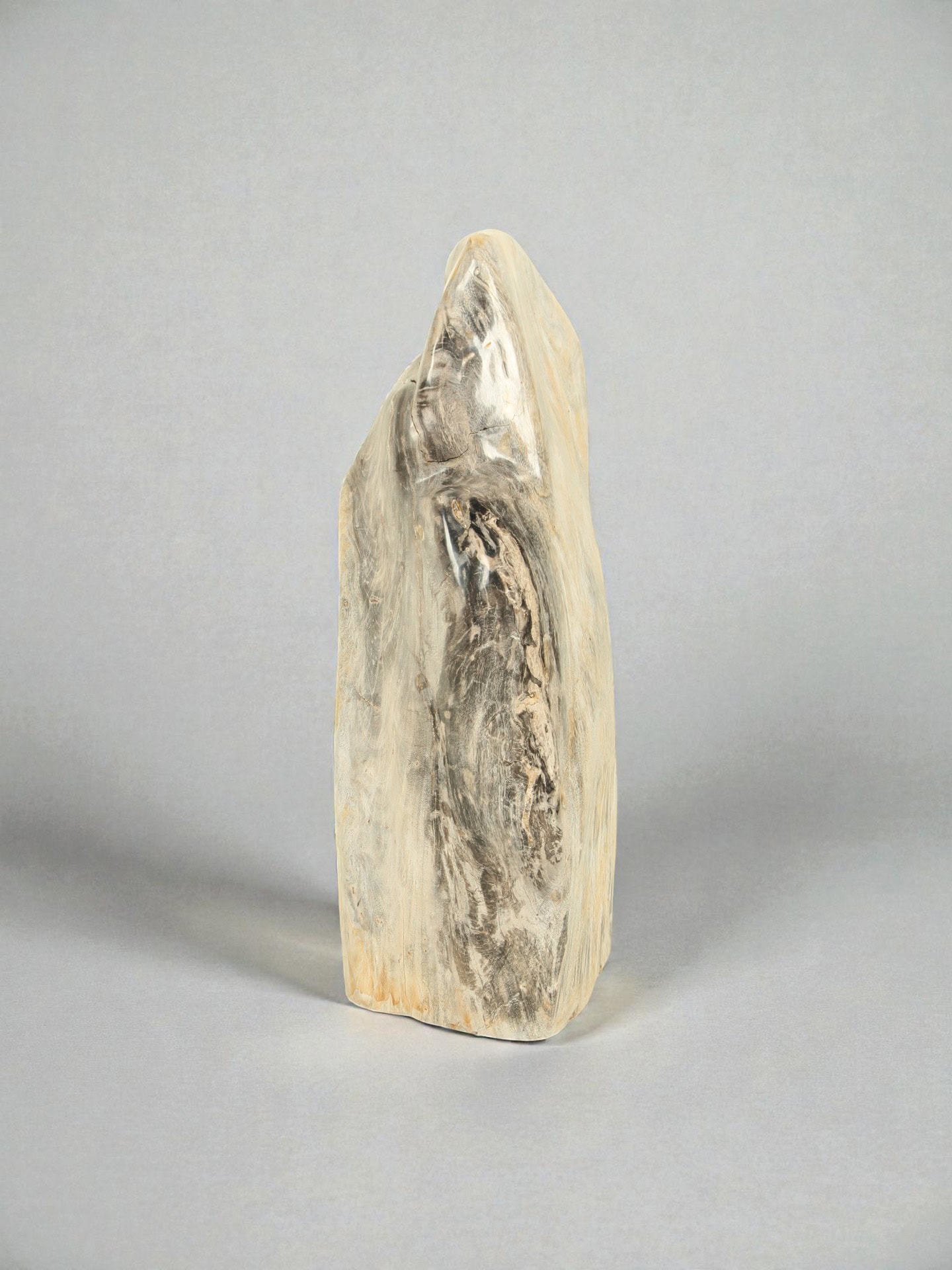 Versteinertes Holz - Versteinertes Holz - 60x20x20 cm – Bild 4