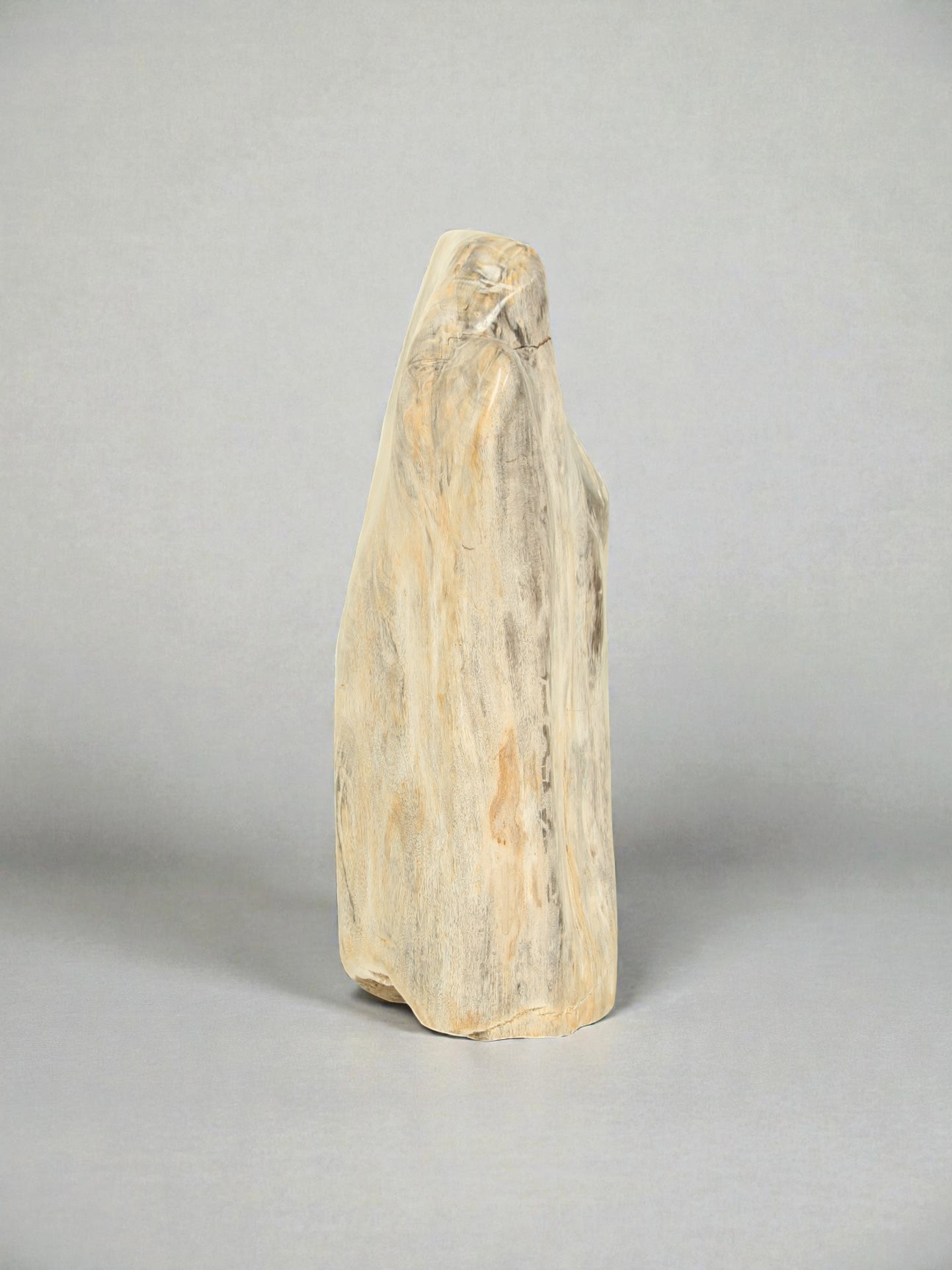 Versteinertes Holz - Versteinertes Holz - 60x20x20 cm – Bild 8