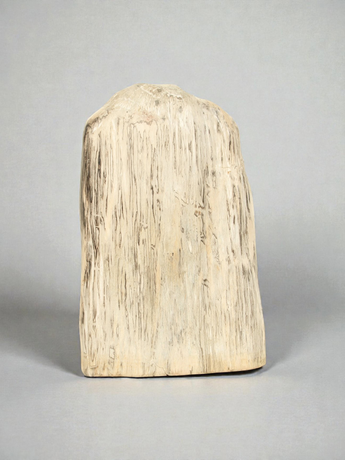 Versteinertes Holz - Versteinertes Holz - 75x25x40 cm