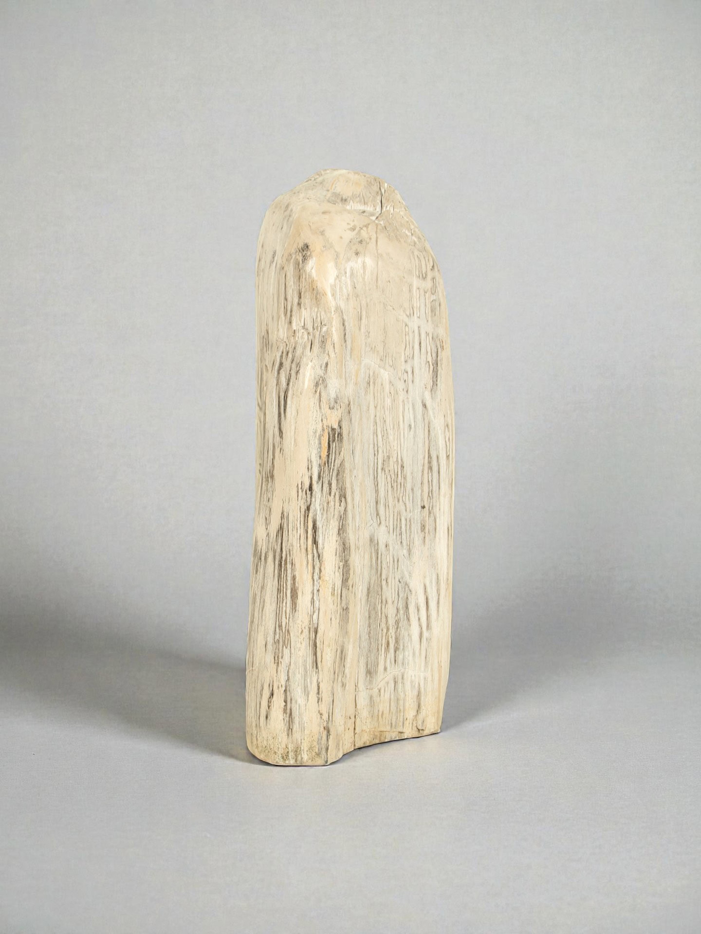 Versteinertes Holz - Versteinertes Holz - 75x25x40 cm – Bild 2