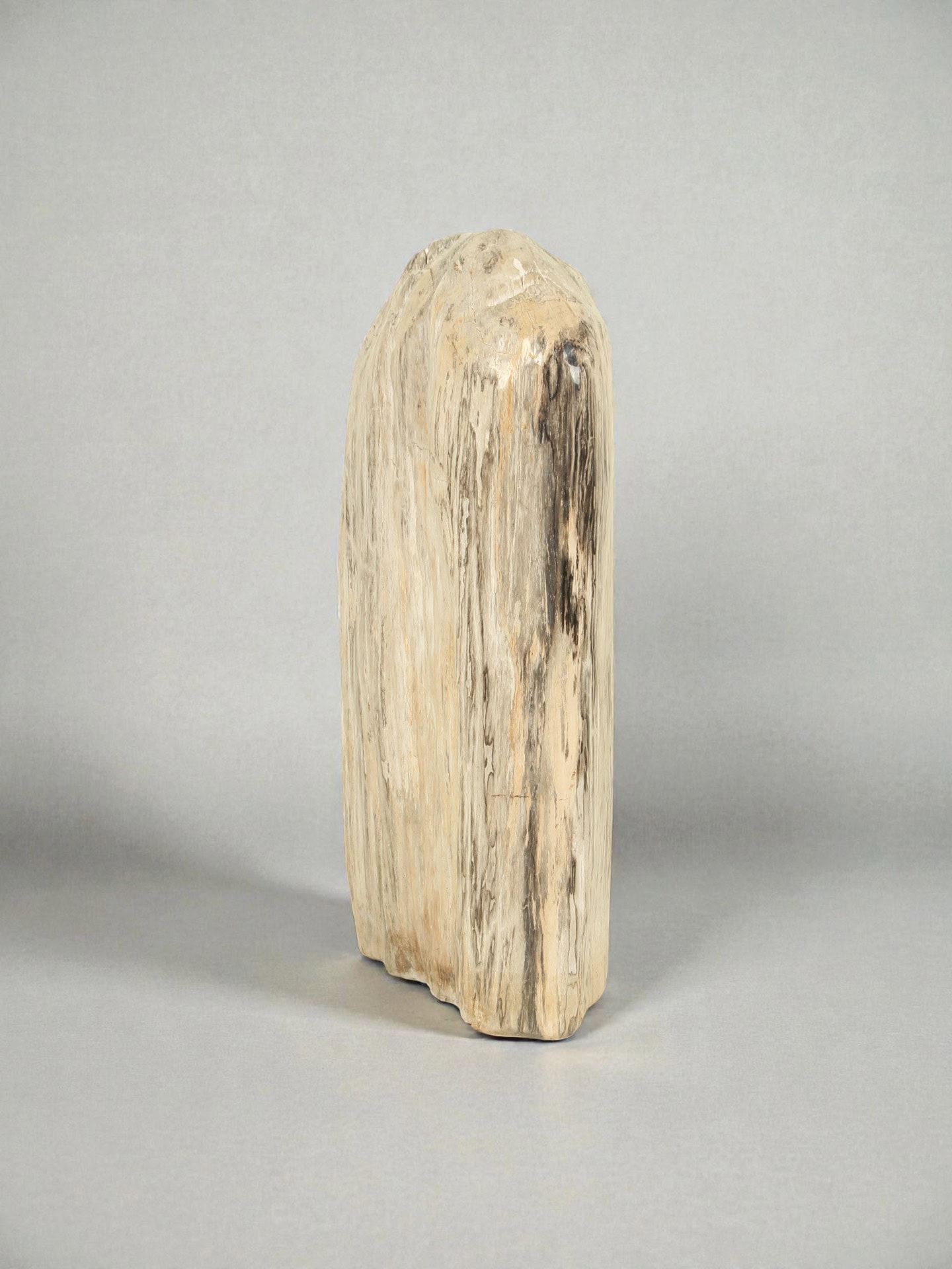 Versteinertes Holz - Versteinertes Holz - 75x25x40 cm – Bild 4