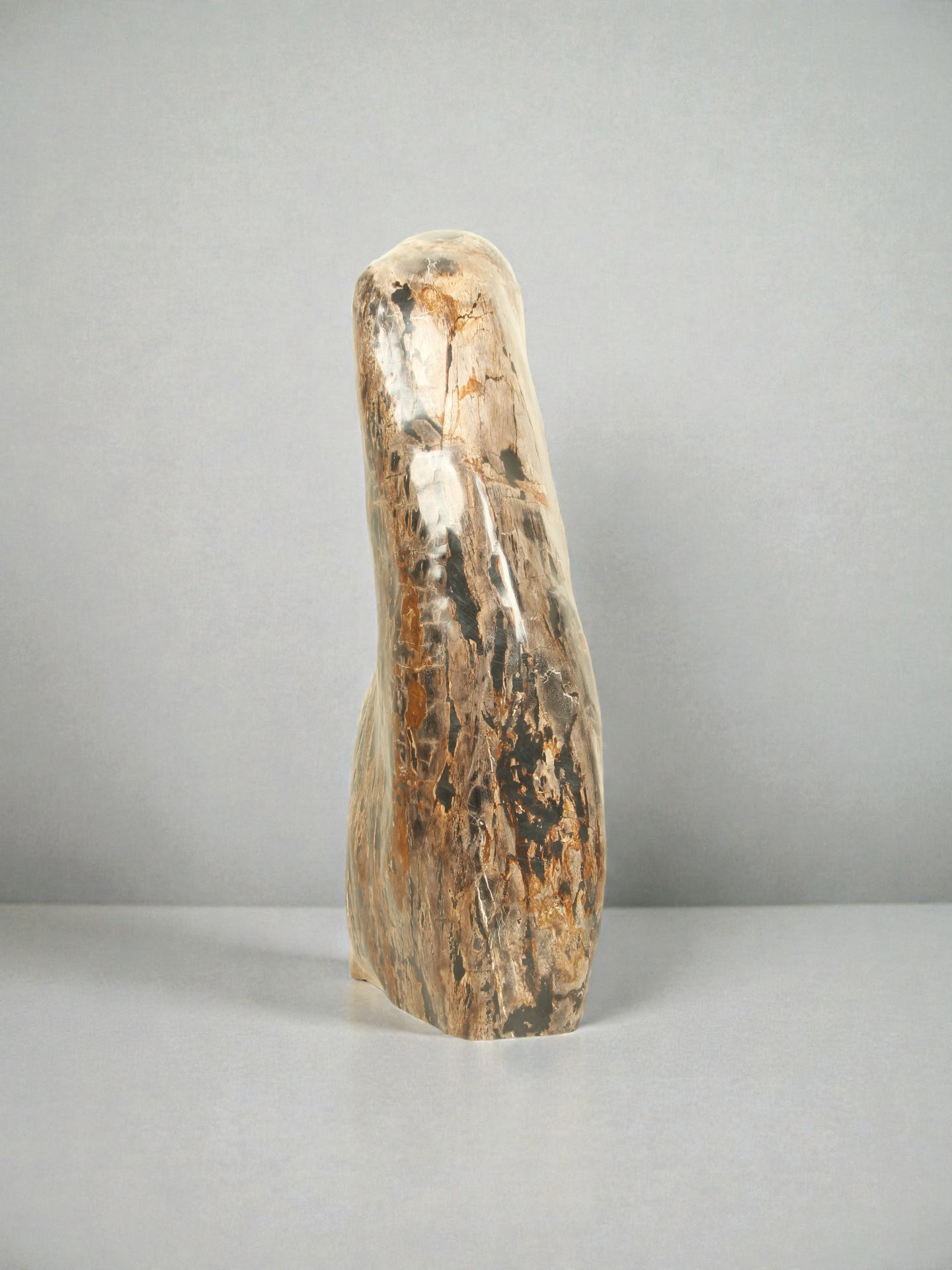 Versteinertes Holz - Versteinertes Holz - 81x35x20 cm – Bild 4