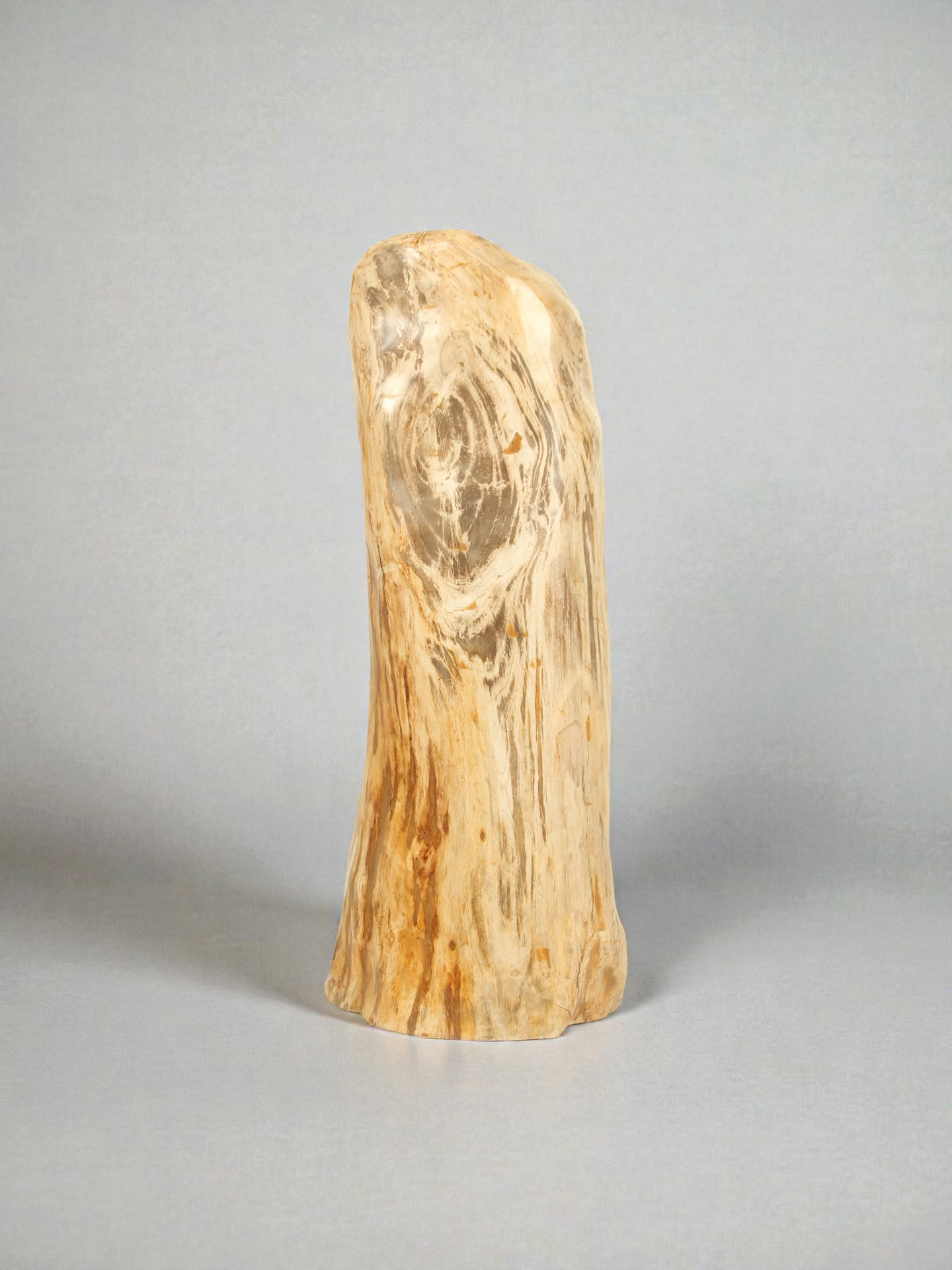 Versteinertes Holz - Versteinertes Holz - 90x35x30 cm