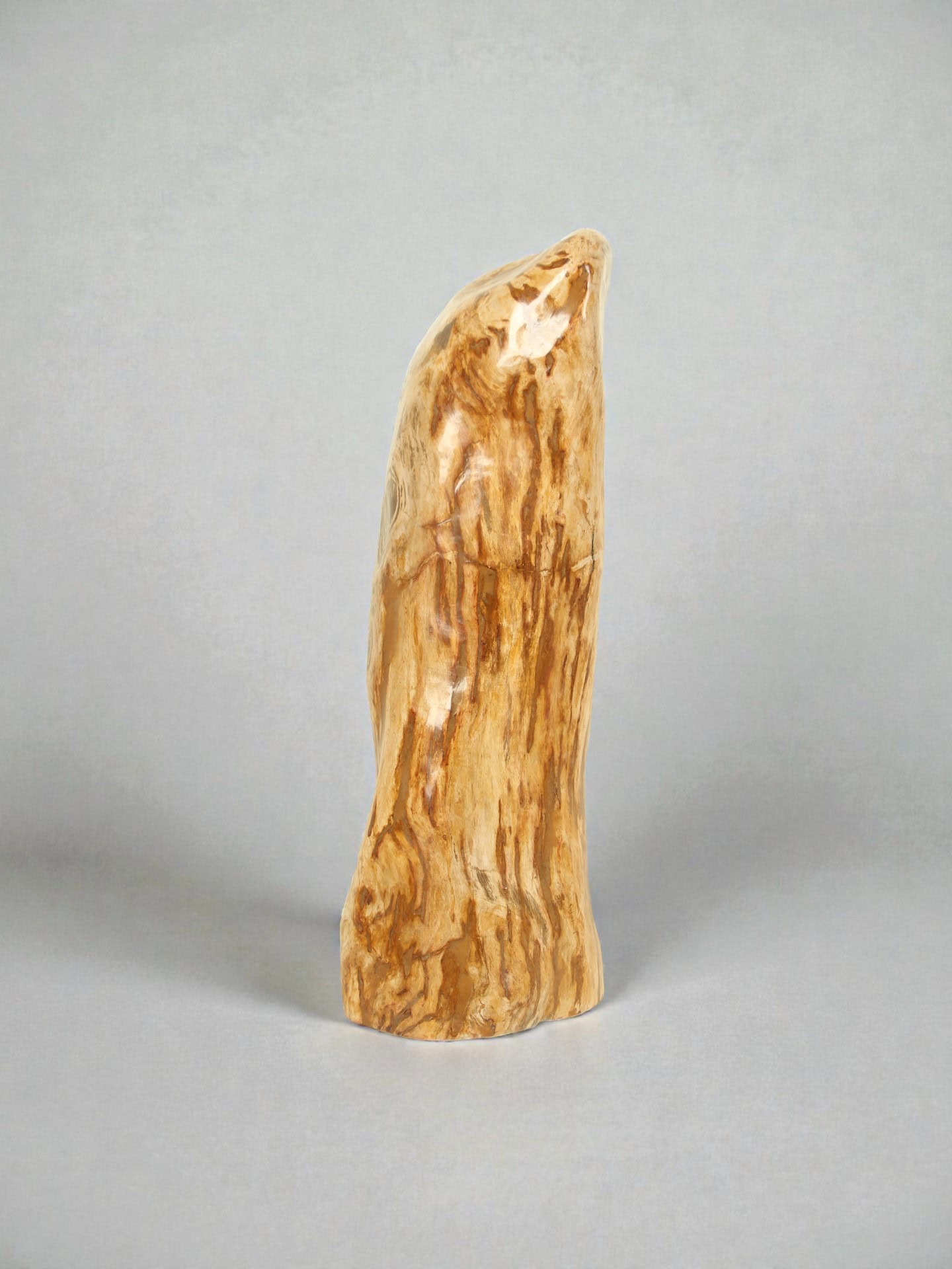 Versteinertes Holz - Versteinertes Holz - 90x35x30 cm – Bild 4