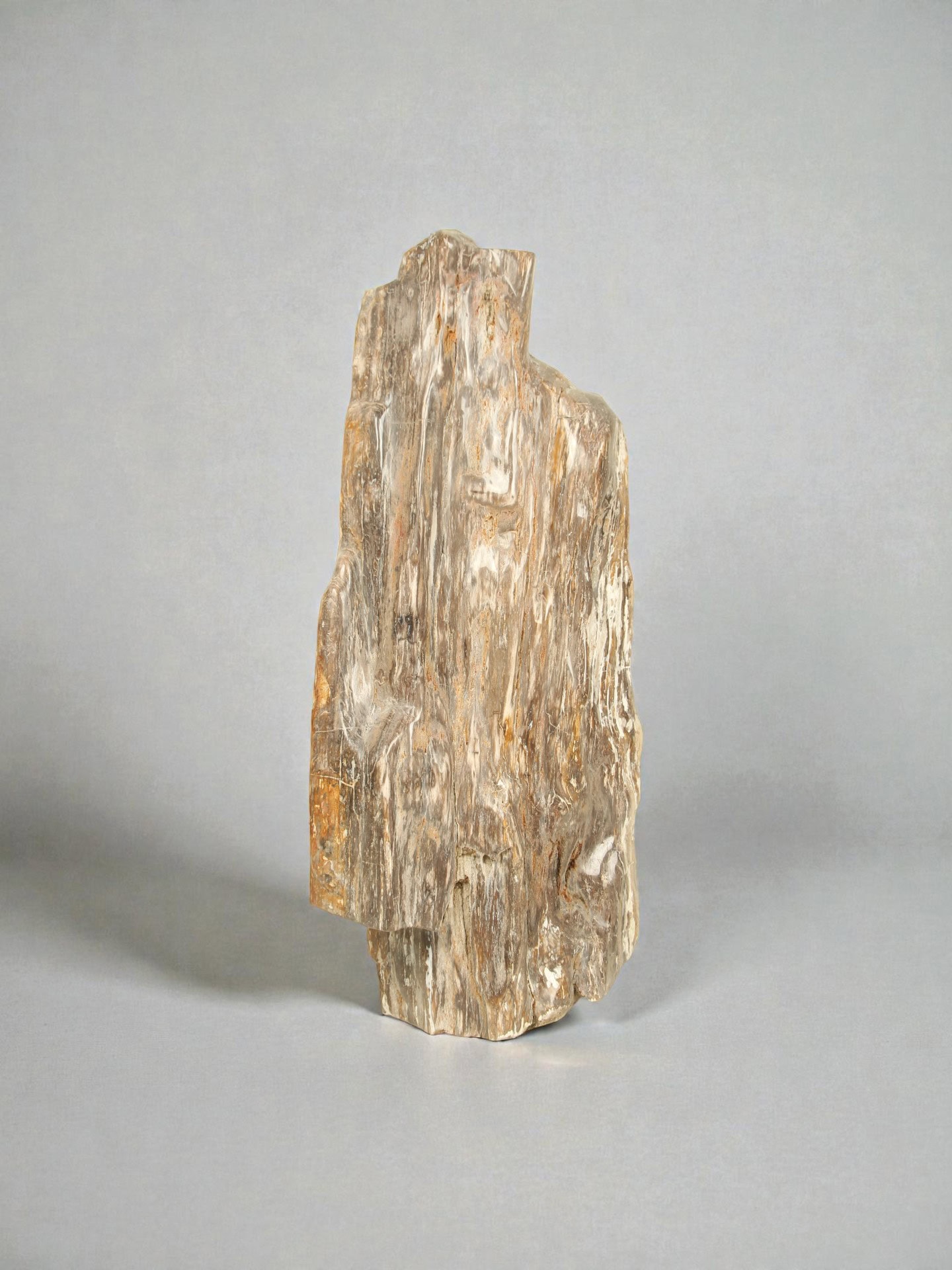 Versteinertes Holz - Versteinertes Holz - 90x40x20 cm