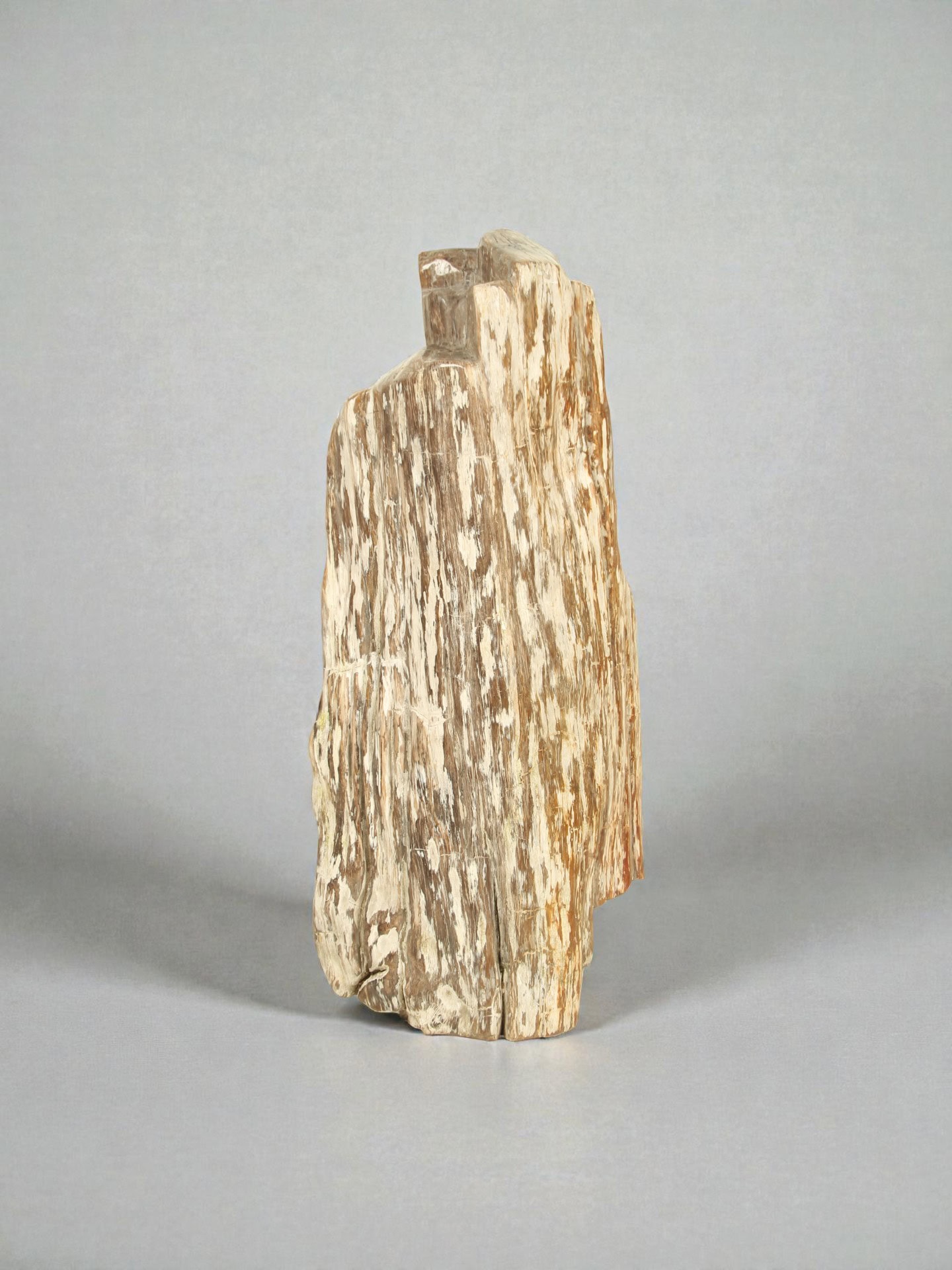 Versteinertes Holz - Versteinertes Holz - 90x40x20 cm – Bild 3