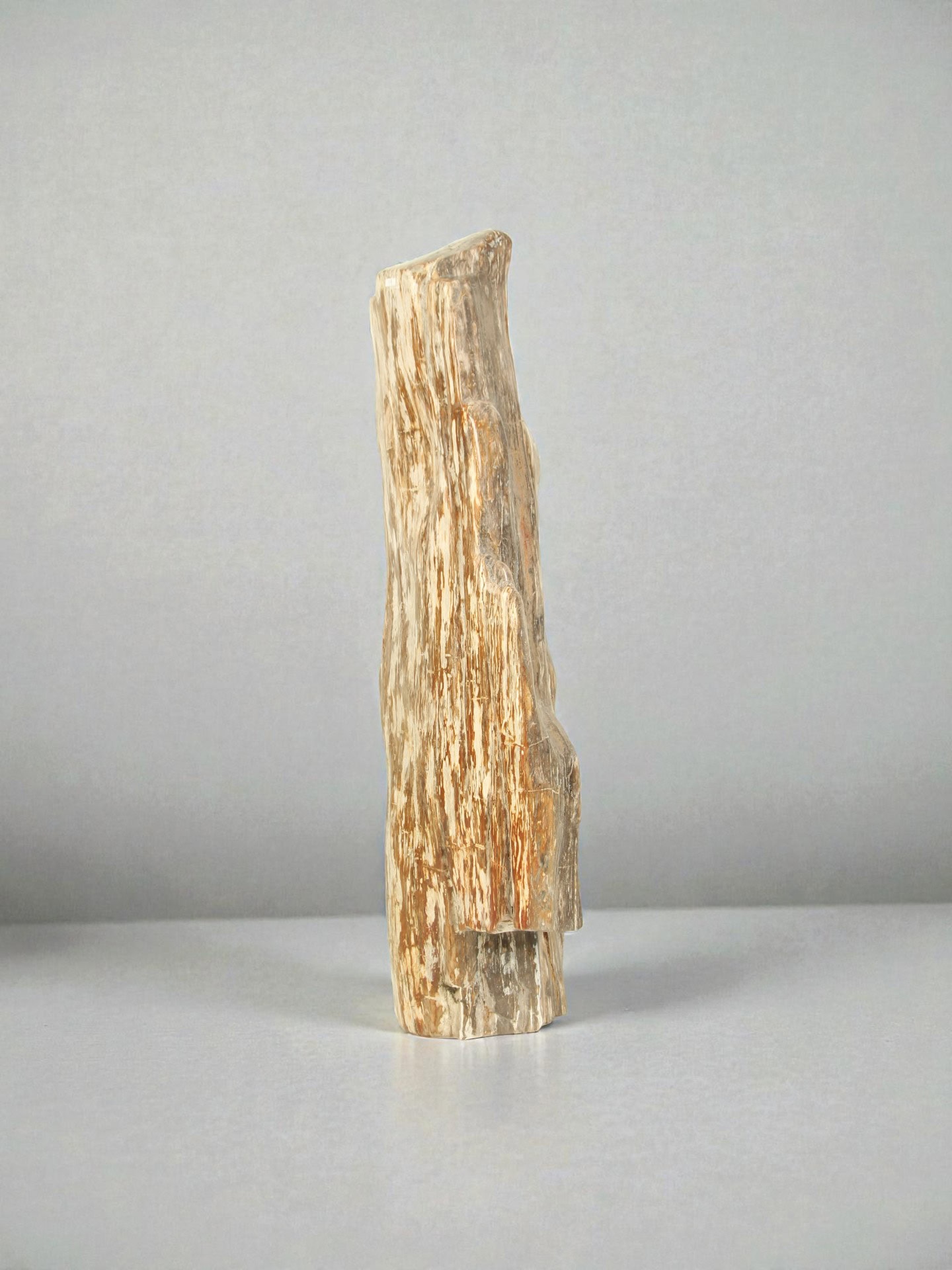 Versteinertes Holz - Versteinertes Holz - 90x40x20 cm – Bild 4