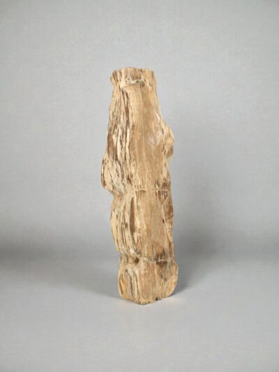 Versteinertes Holz – Versteinertes Holz – 96x24x25 cm