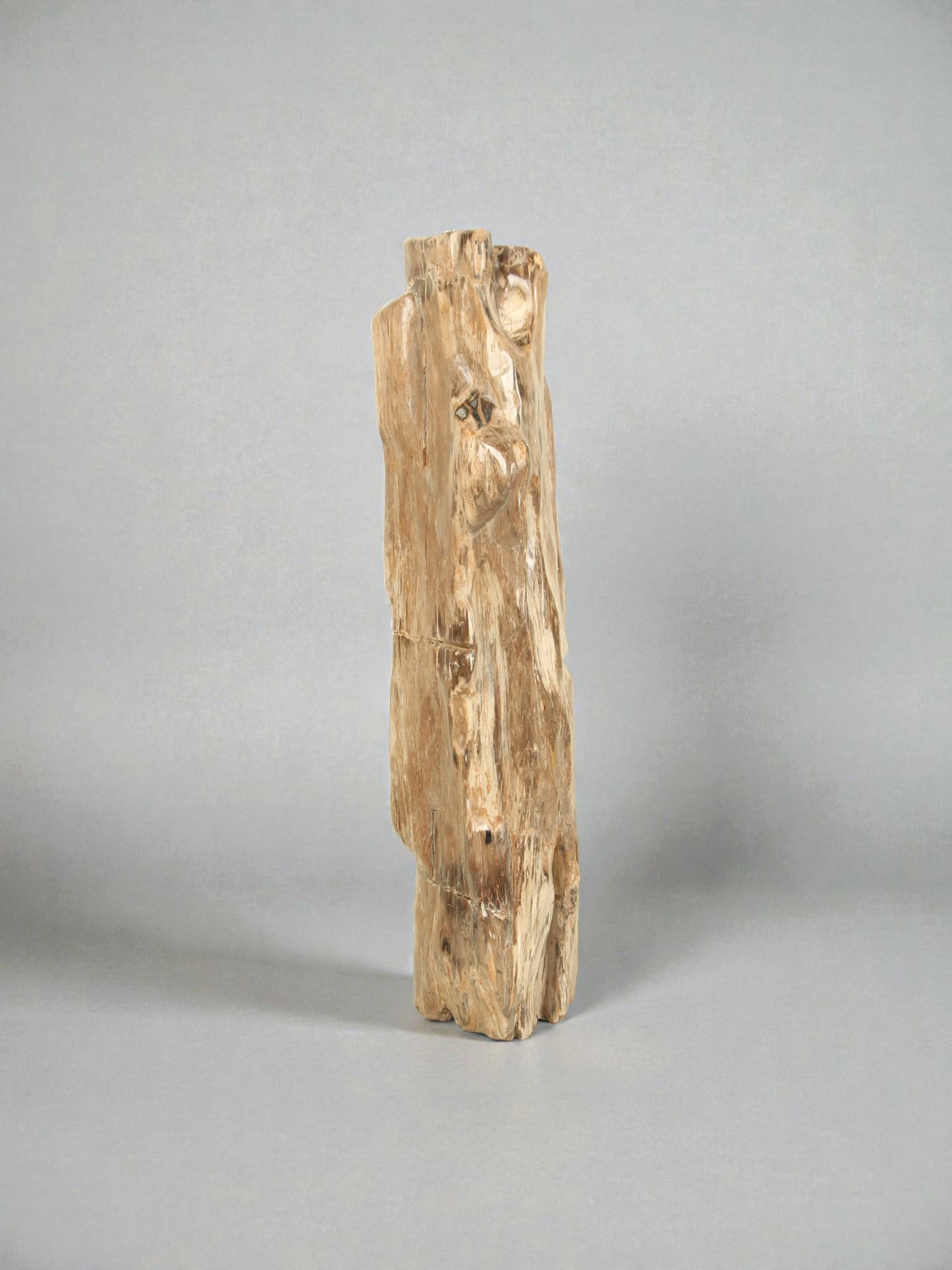Versteinertes Holz - Versteinertes Holz - 96x24x25 cm – Bild 2