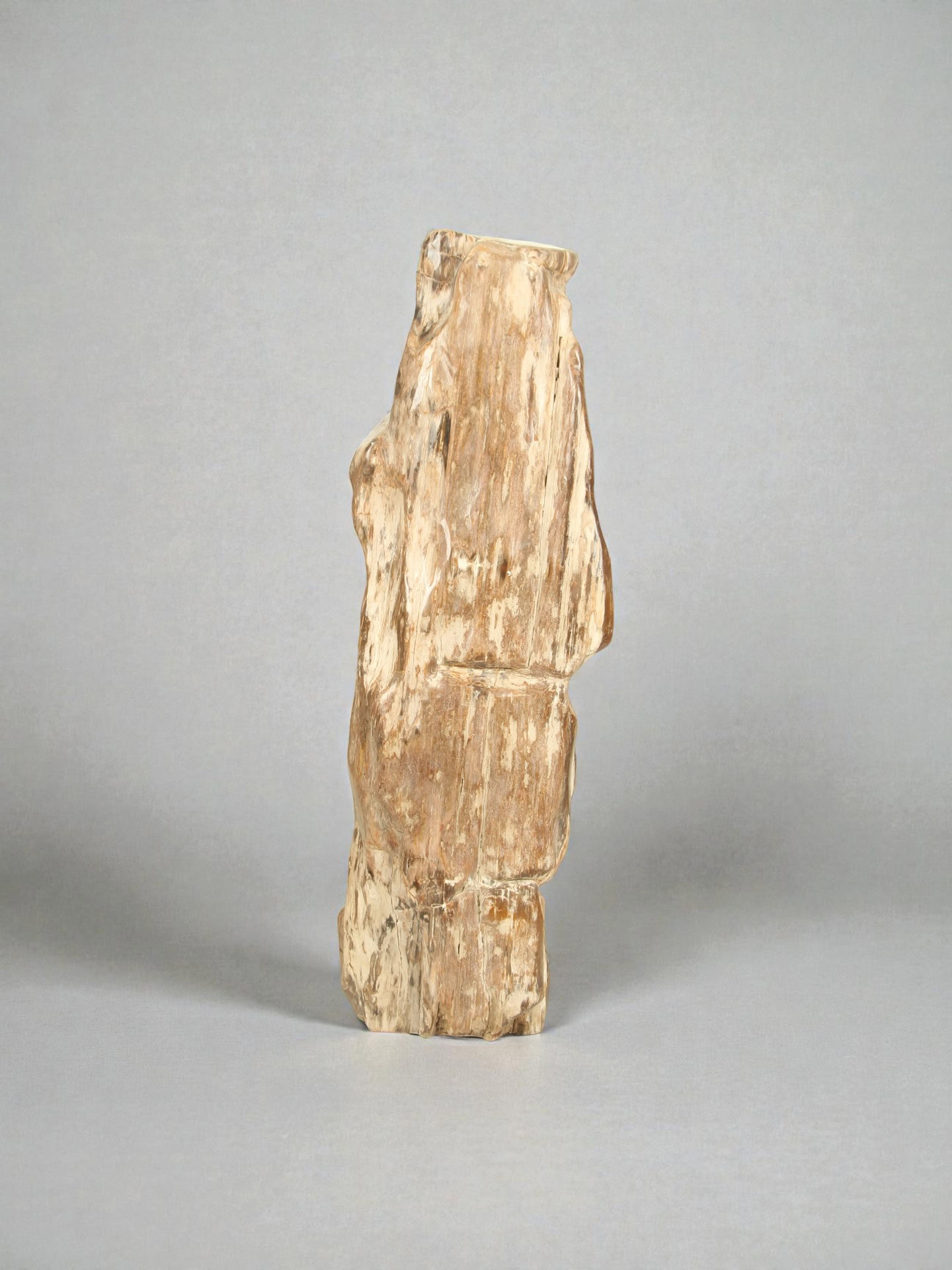 Versteinertes Holz - Versteinertes Holz - 96x24x25 cm – Bild 3