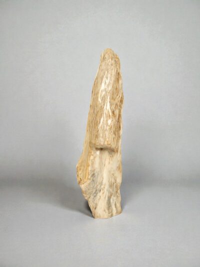 Versteinertes Holz – Versteinertes Holz – 98x26x26 cm